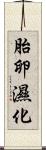 胎卵濕化 Scroll