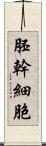 胚幹細胞 Scroll