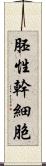 胚性幹細胞 Scroll