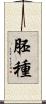 胚種 Scroll