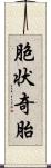 胞状奇胎 Scroll