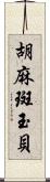 胡麻斑玉貝 Scroll