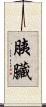 胰臟 Scroll