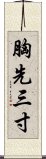 胸先三寸 Scroll