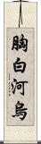 胸白河烏 Scroll