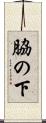 脇の下 Scroll