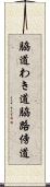 脇道 Scroll