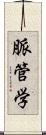 脈管学 Scroll