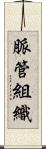 脈管組織 Scroll