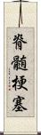 脊髄梗塞 Scroll