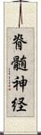 脊髄神経 Scroll