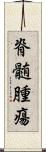 脊髄腫瘍 Scroll