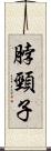 脖頸子 Scroll