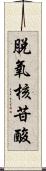 脫氧核苷酸 Scroll