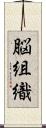 脳組織 Scroll