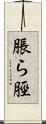 脹ら脛 Scroll