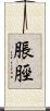 脹脛 Scroll