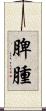 脾腫 Scroll