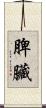 脾臟 Scroll