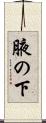 腋の下 Scroll