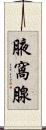 腋窩腺 Scroll