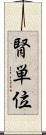 腎単位 Scroll