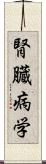 腎臓病学 Scroll