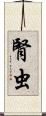 腎虫 Scroll