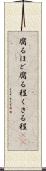 腐るほど Scroll