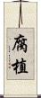 腐植 Scroll