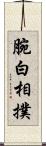 腕白相撲 Scroll