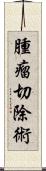 腫瘤切除術 Scroll