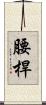 腰桿 Scroll