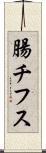 腸チフス Scroll