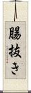 腸抜き Scroll