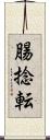 腸捻転 Scroll