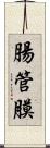 腸管膜 Scroll