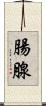 腸腺 Scroll