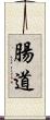 腸道 Scroll