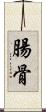 腸骨 Scroll
