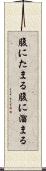 腹にたまる Scroll