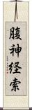 腹神経索 Scroll