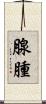 腺腫 Scroll