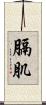 膈肌 Scroll
