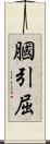 膕 Scroll