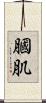 膕肌 Scroll