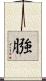 膙 Scroll