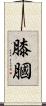 膝膕 Scroll