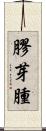 膠芽腫 Scroll