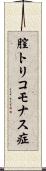 膣トリコモナス症 Scroll